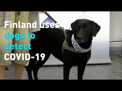 Video: Finland Lancerer COVID-19-test For Udenlandske Turister