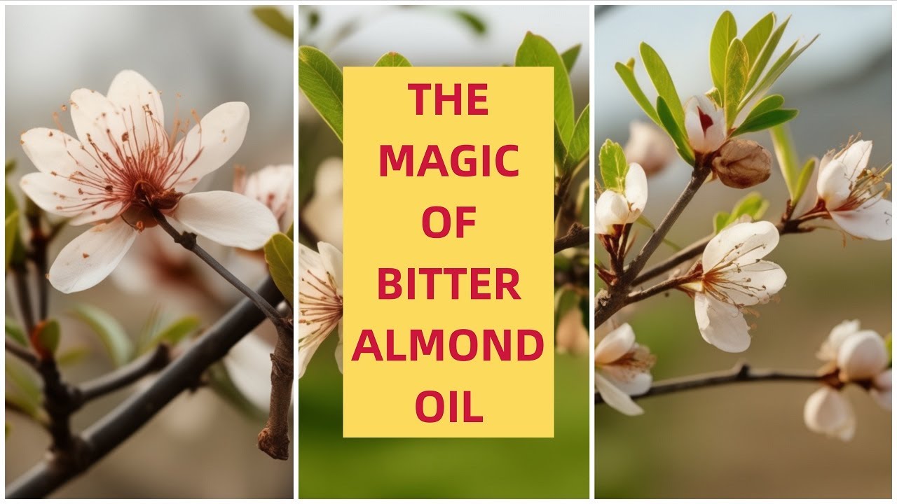 Achieve Healthy, Radiant Hair: The Magic of Bitter Almond Oil unveiled