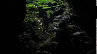 The mystical Garden of Edam inside the world's biggest cave - Son Doong Cave