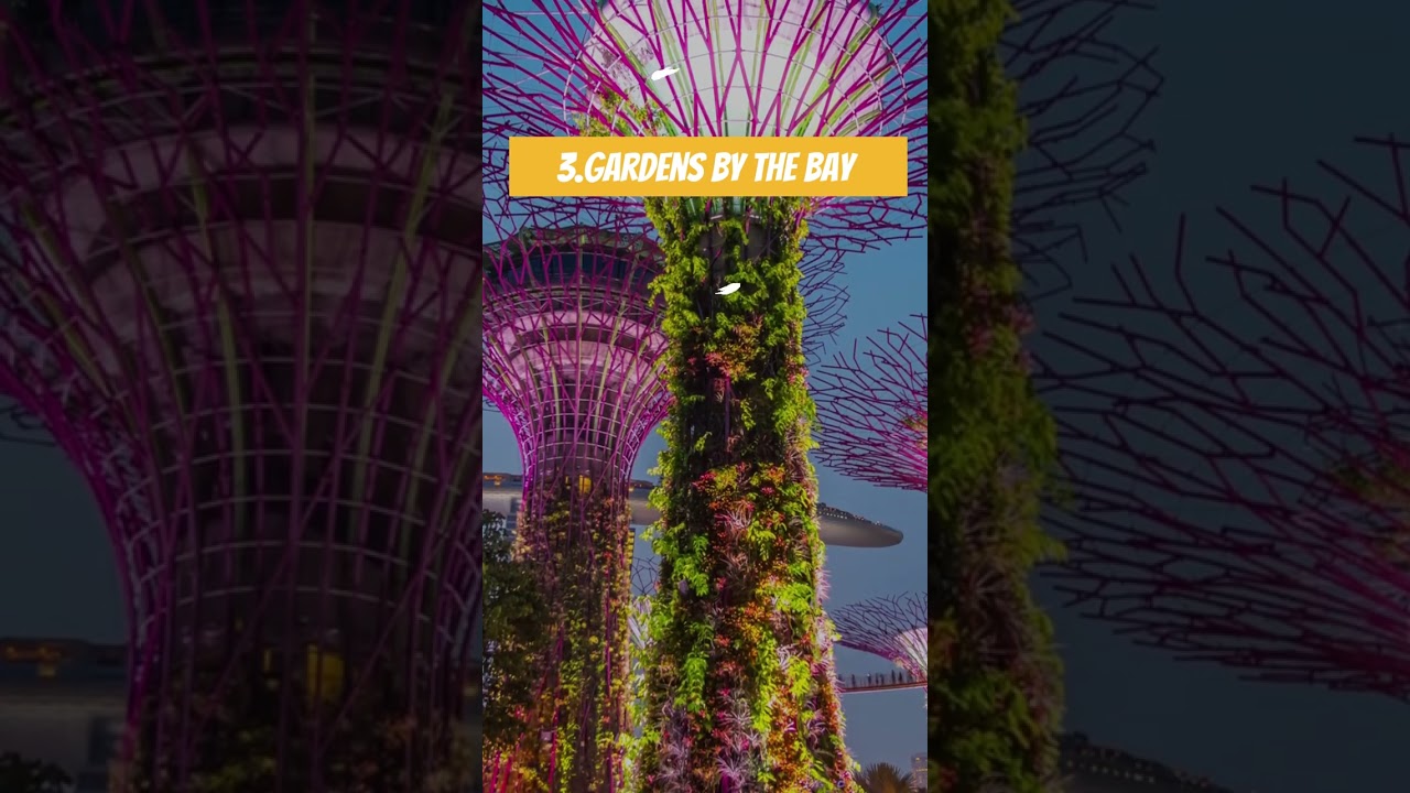 c | BEST TRAVEL AGENCY IN PATHANKOT| TRAVEL | SINGAPORE