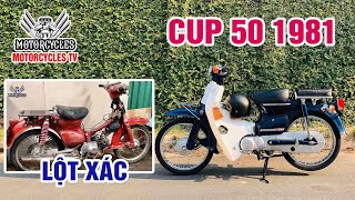 Video 284:Restoration Honda Cup C50 1981 | Motorcycle TV | Motorcycle TV