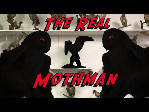 My Quest to meet the "Real Mothman"