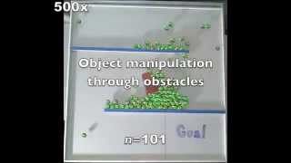Massive Uniform Manipulation: Large Populations, Simple Robots, Common Input