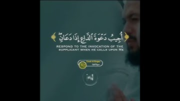 حالات واتس قرآن | وإذا سألك عبادي عني للشيخ مشاري العفاسي | من سورة البقرة