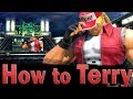 Smash Ultimate: How to Terry