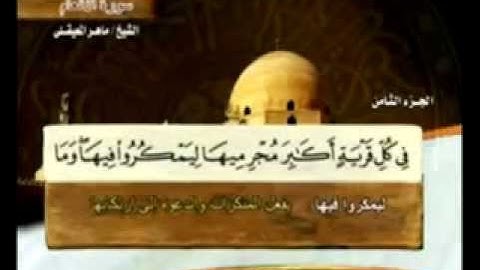 الجزء الثامن (08) من القرآن الكريم بصوت الشيخ ماهر المعيقلي