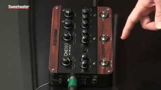 Fishman ToneDEQ Guitar Preamp, Effects and EQ Pedal Review by Don Carr