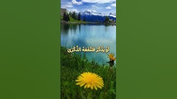 عَبَسَ وَتَوَلَّىٰ❤️#راحة_نفسية #حسن_الظن_بالله #مع_القرآن #اطمئنان #سورة_عبس