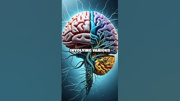 Unlocking the Secrets of Memory