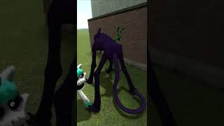 CatNap Vs Smiling Critters Monsters | Garry's Mod