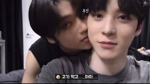 [에이티즈 우영/윤호] 고양이가 강아지를 너무 좋아하면 생기는 일