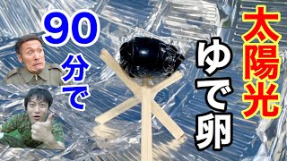 夏の日差しで簡単「ゆで卵」を作るサバイバル術