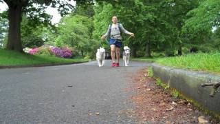 Barefoot Ted tests the RunAmoc Lite with 2mm Street Sole screenshot 5