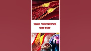 general knowledge || quiz | spinal cord part-460