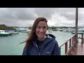 Visiting Isabela Island