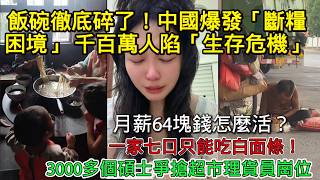 Livelihoods Shattered! China Faces a 'Food Crisis' as Millions Fall into 'Survival Crisis'—How Ca...