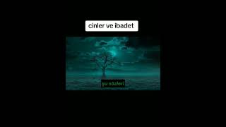 Cinler Ve Demonlar Rahman Sesinden Hoşlanmazlar Allahın Gece Olduğunda Eve Giren Allahın Sözlerini