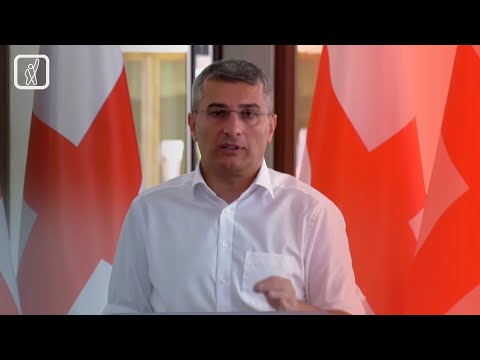 ნიკა მელიაზე თავდასხმის საქმე — მდინარაძის ვერსია