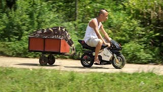 Râu Tôm Ruột Bầu - Mao Đệ Nấu Ăn Và Kết Quả Đừng Bao Giờ Để Mao Đệ Vào Bếp M・A・O 検索動画5 Râu Tôm Ruột Bầu - Mao Đệ Nấu Ăn Và Kết Quả Đừng Bao Giờ Để Mao Đệ Vào Bếp M・A・O 検索動画 5