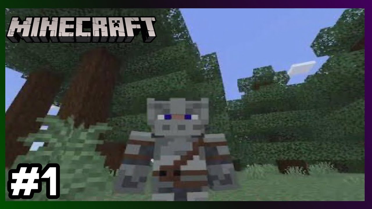 PS5 Minecraft: The Next Start,