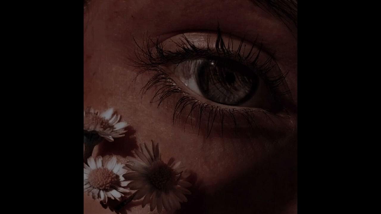 накладные ресницы на прозрачной ленте. посты для лэшмейкера полезные. наращивание ресниц г кизляр. Innovator cosmetics ресницы mayamy silk 16 линий с-изгиб 0. рей ресницы песня.