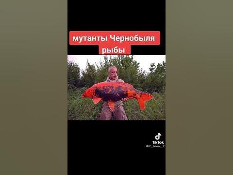 мутанты чернобыля (рыбы) - YouTube