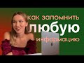 как выучить надолго любую информацию?