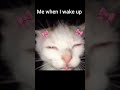 Me when i wake up