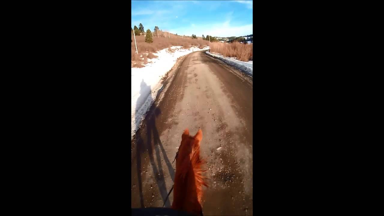 2014 02 19 Woodchuck Road Short Ride YouTube