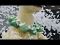 Bayleef's Mascot Confetti Blizzard (Pokemon Costumed Character)