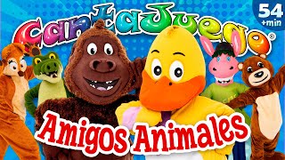 Cantajuego Los Amigos Animales Videoclips Música Infantil Y Canciones Para Niños Y Bebes