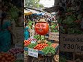 मैं टमाटर हूँ रे🍎Funny Tomato Story in Hindi| | Kids Cartoon Story #shorts #youtubeshorts