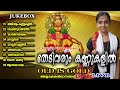 തേടിവരും കണ്ണുകളിൽ | Thedivarum Kannukalil | Hindu Devotional Songs Malayalam | Old Ayyappa Songs Mp3 Song