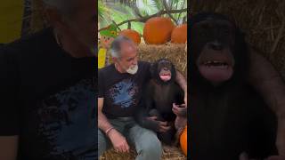 Father & Son Time: Zwf Founder Mario Tabraue And Limbani The Chimpanzee