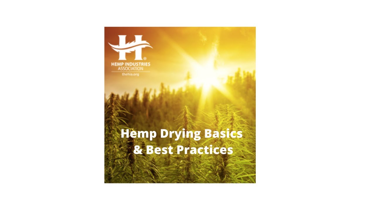 Hemp Drying Basics & Best Practices with IEC Thermo