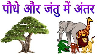 पौधों और जंतुओं में अंतर | पादप जंतु से किस प्रकार भिन्न हैं | Different between Plants and Animals