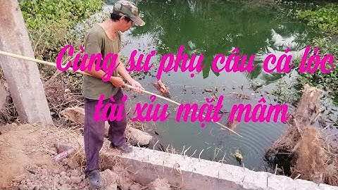 HL Câu Cá Lóc Bằng vịt, snakehead fishing