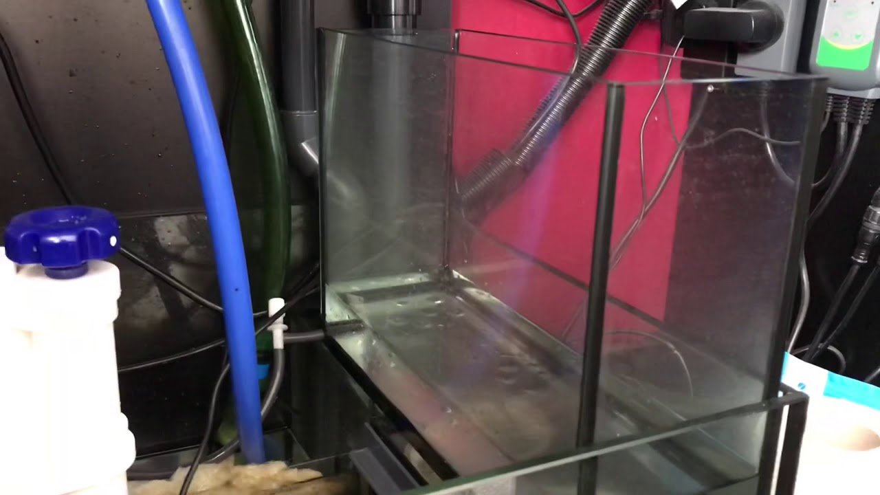 Red Sea Reefer 350 Sump Modifications To Grow Chaeto By Prolificbreed Red Sea Reefer 350 Sump Modifications To Grow Chaeto By Prolificbreed
