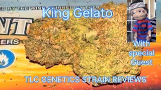 The TLC Genetic Show : King Gelato (Strain Review) (With Special Guest)