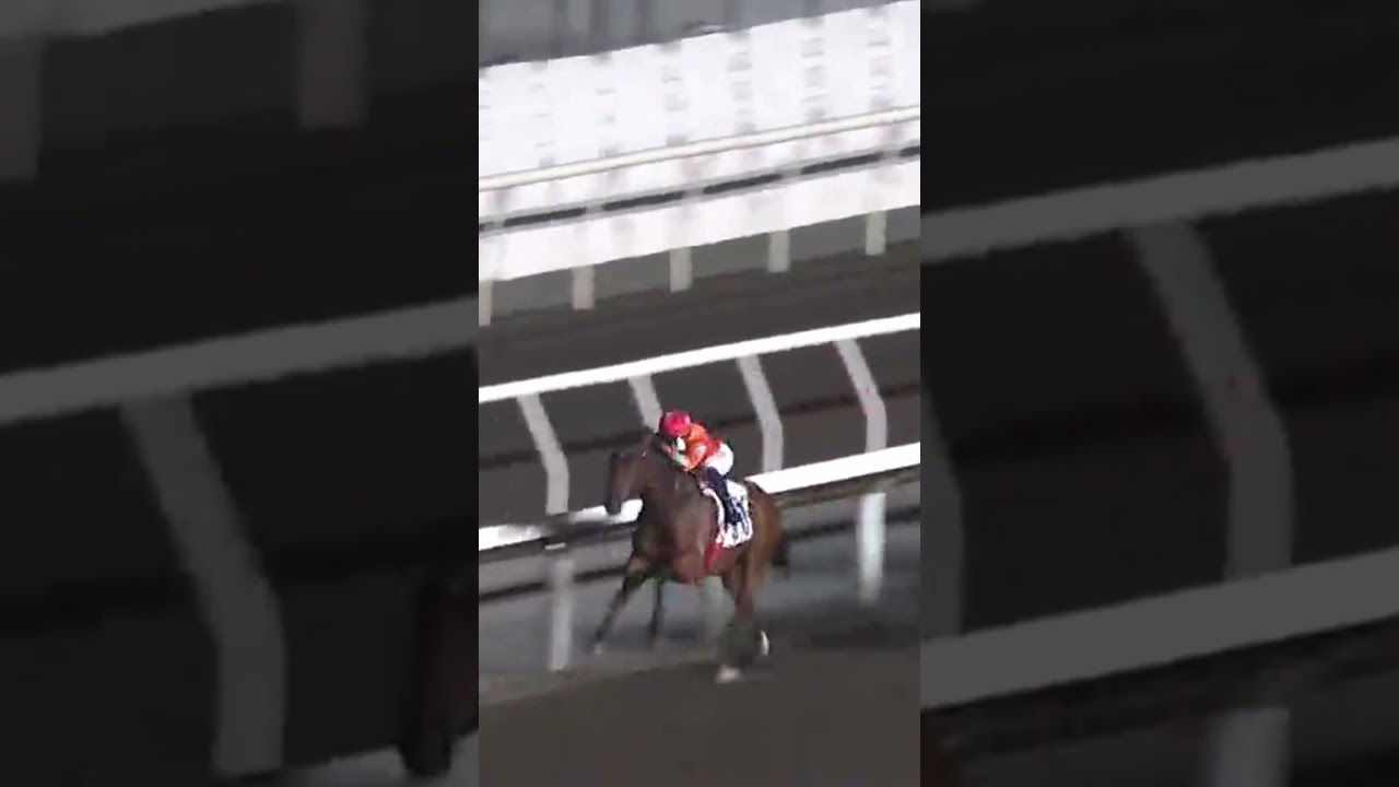 3 | 10 | БЫСТРЫЙ УМНЫЙ | К Титан | 