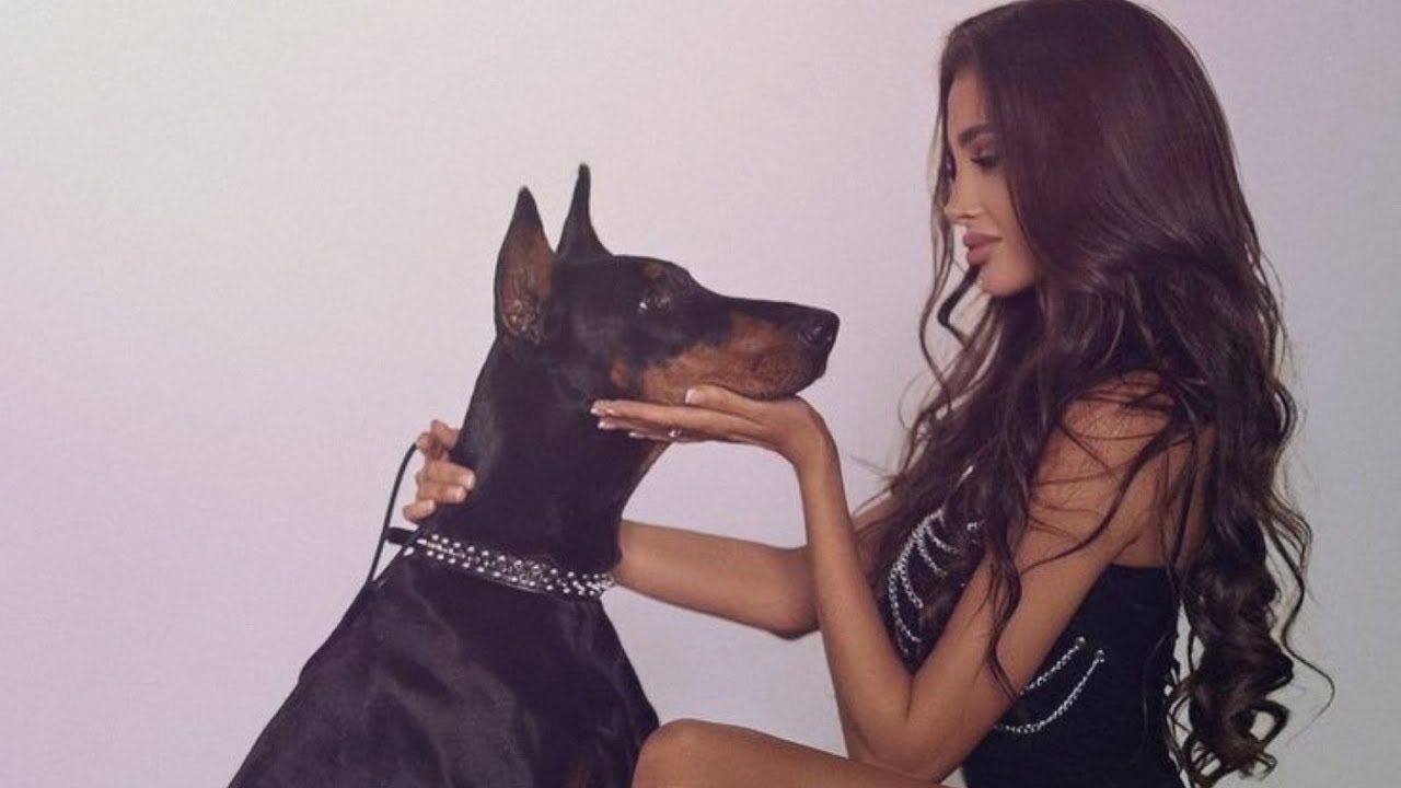 معاملة الكلاب #ترويض_الرجال ( أعزكم الله )