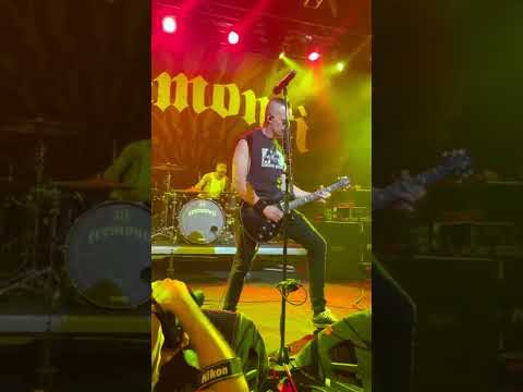 Tremonti - If Not For You