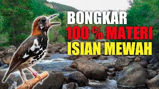 Masteran Anis Kembang Full Isian Untuk Suara Pancingan Anis Kembang Agar Cepat Ngeplong