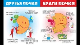 Как сохранить почки