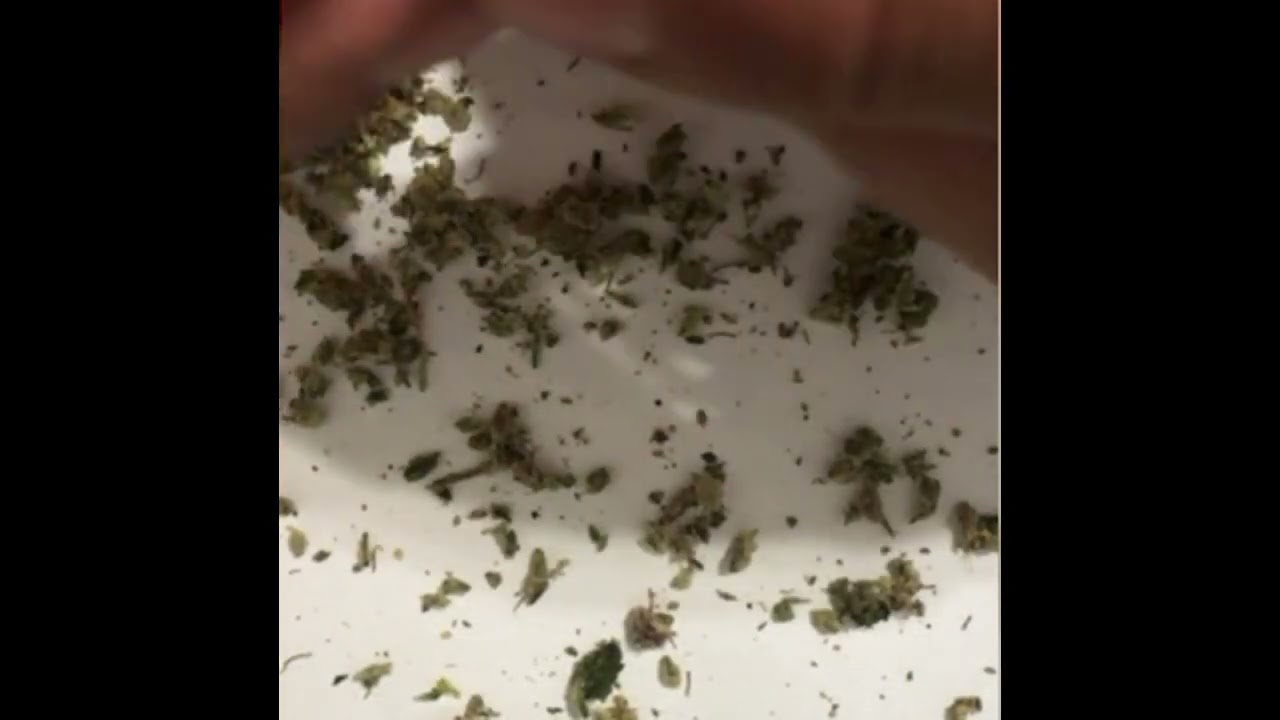 Hash hole timelapse