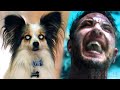 Venom possesses a PUPPY | Venom | CLIP 🔥 4K