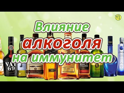 Влияние алкоголя на иммунитет, Анатолий Николаевич Глущенко