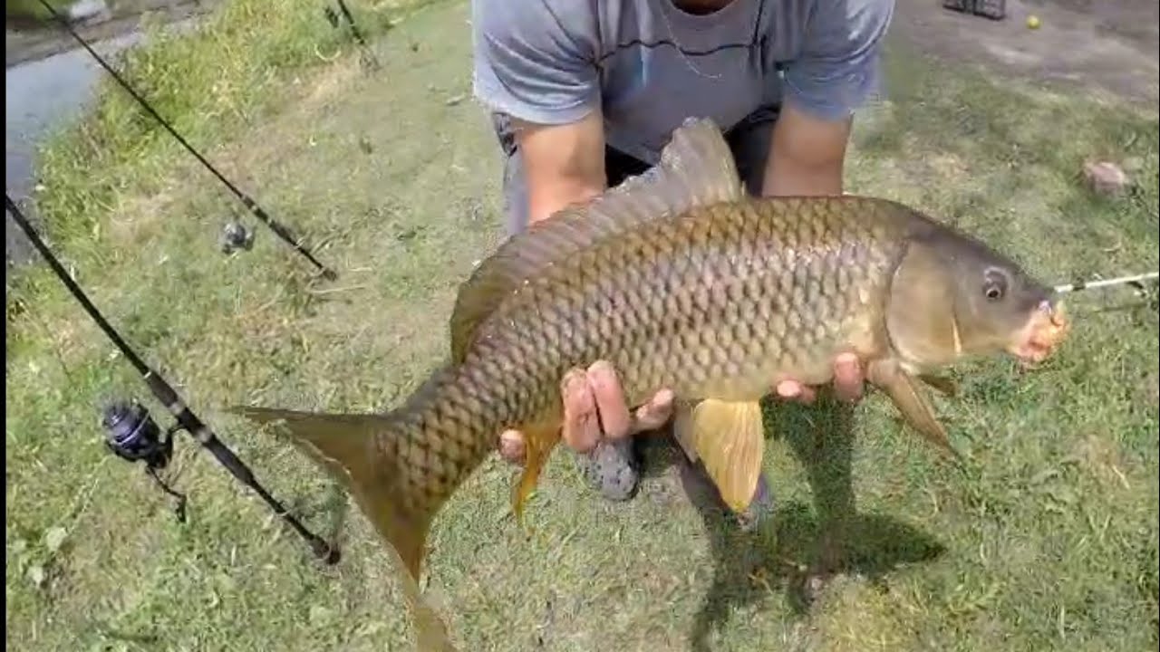 CARPFISHING CORDOBA ARGENTINA!!