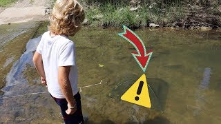 He Trapped a Huge Creek Monster in a Minnow Trap! Let's Keep It!