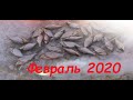 Рыбалка февраль 2020/Не плохой улов/Рыбалка в глухозимье/Помогли вытащить буран/Рыбалка на Урале